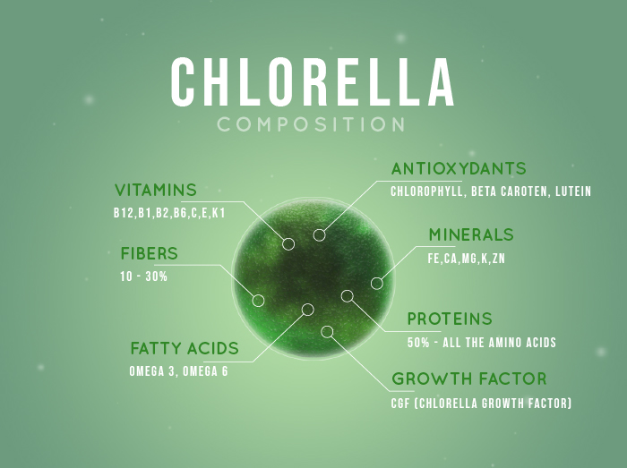 Chlorella Vulgaris Composition